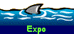  Expo 